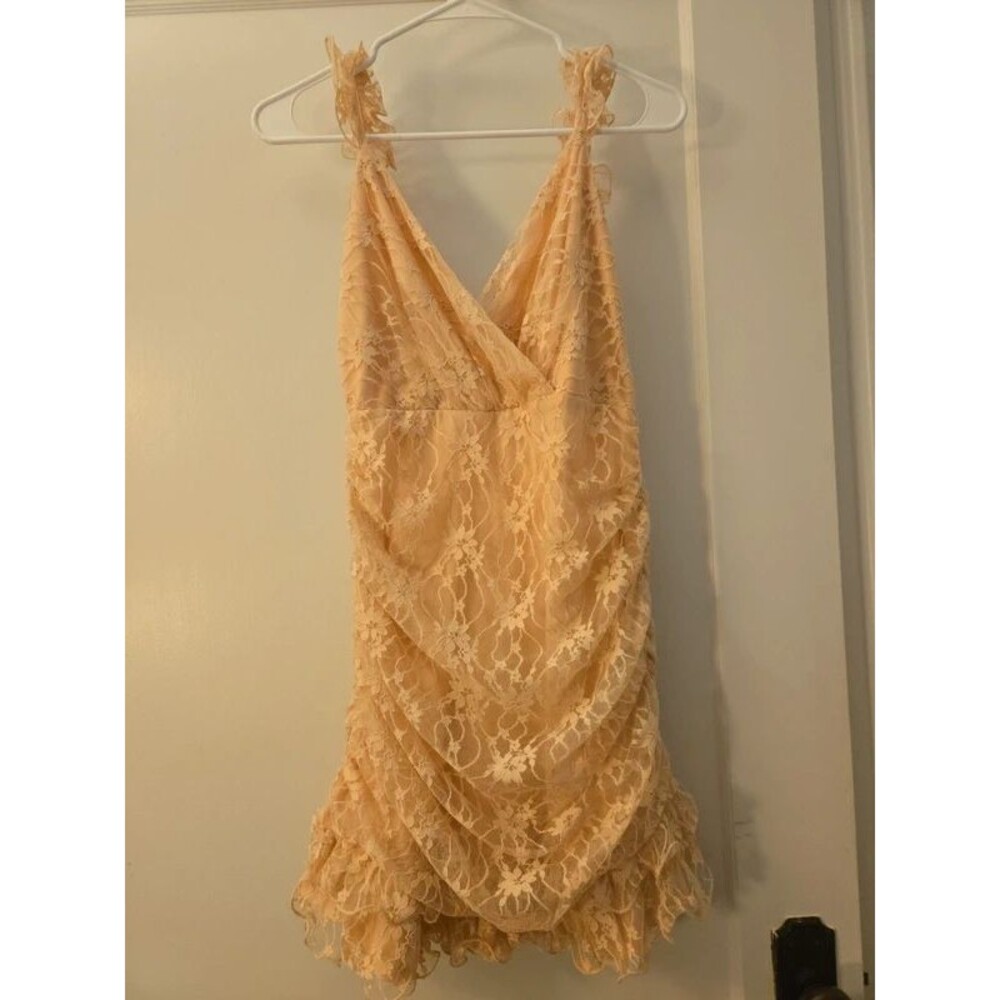 Angel Biba Lacey Rose Pink Body Fit Dress